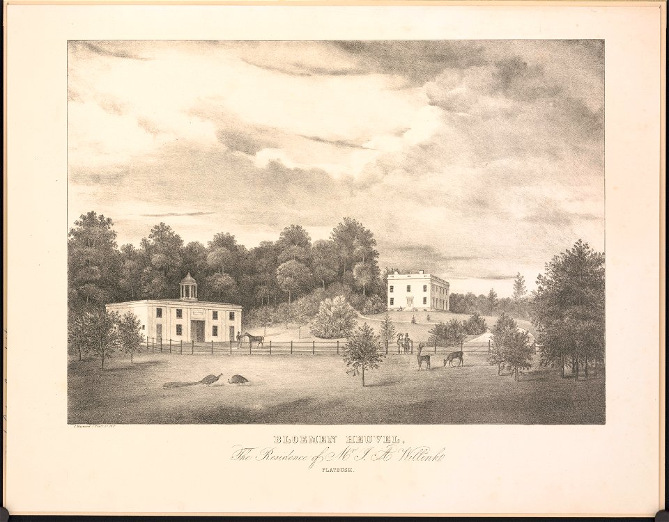 Bloemen heuvel, the residence of Mr. J.A. Willink LCCN2004667271