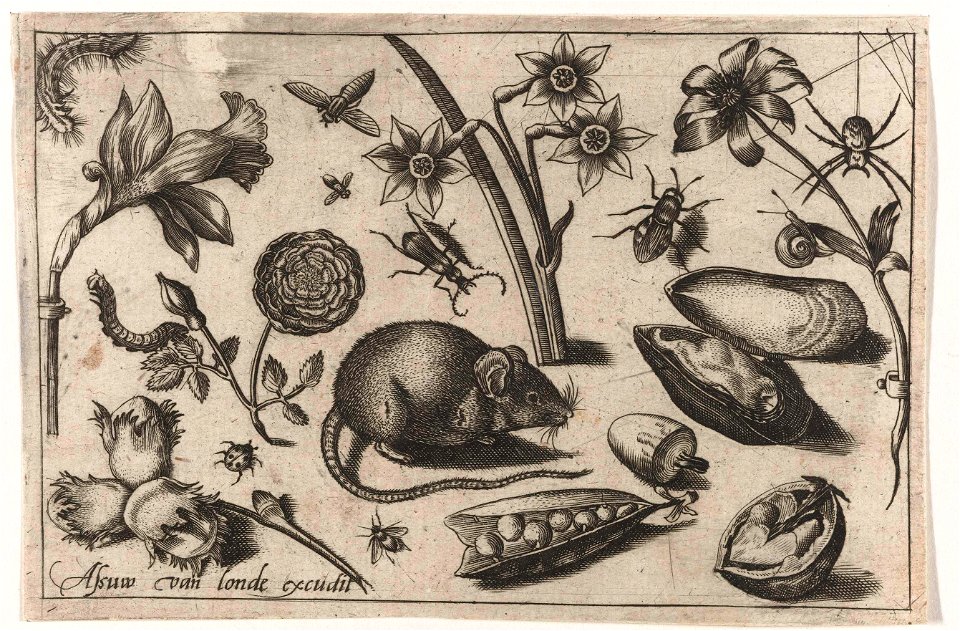 Bloemen, een muis, insecten en een mossel
