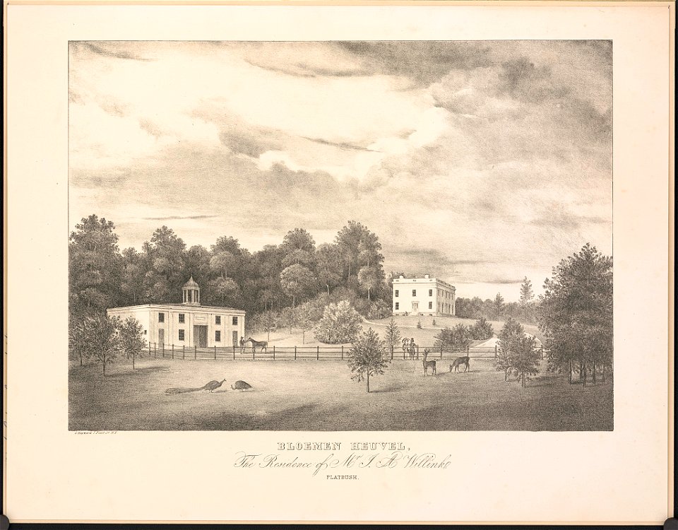 Bloemen heuvel, the residence of Mr. J.A. Willink LCCN2004667271