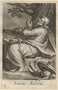 Bloemaert - 1619 - Sylva anachoretica Aegypti et Palaestinae - UB Radboud Uni Nijmegen - 512890366 06 S Malchus