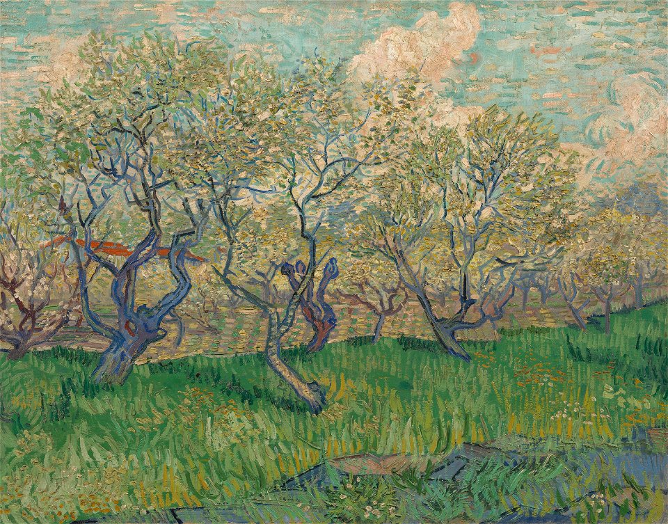 Bloeiende boomgaard - s0038V1962 - Van Gogh Museum