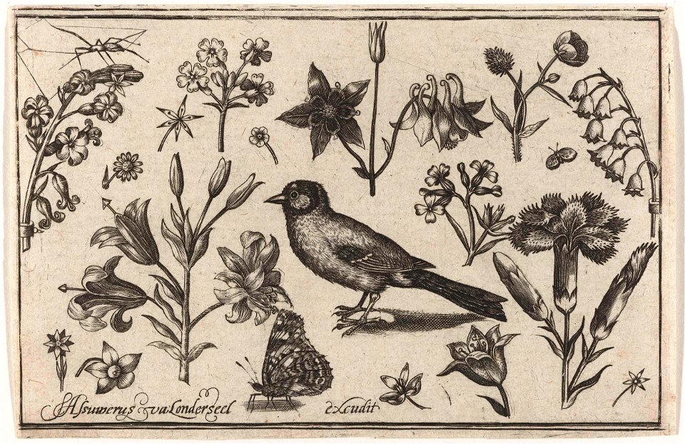 Bloemen, vlinder en een vogel