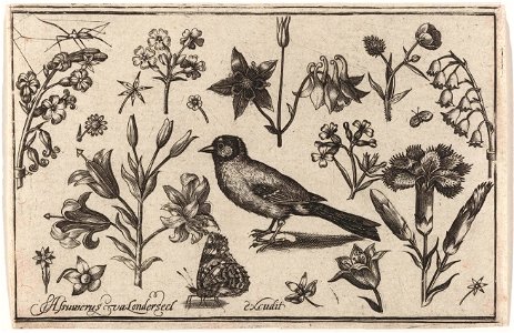 Bloemen, vlinder en een vogel