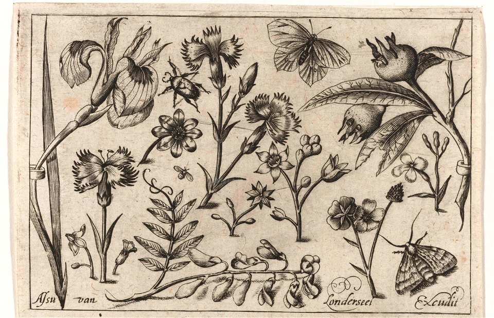 Bloemen en vlinders