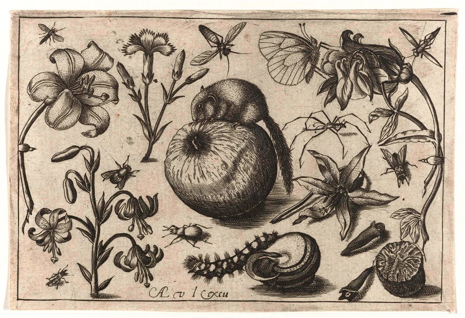 Bloemen en een muis op een appel