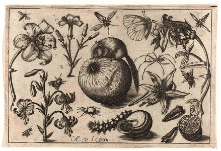 Bloemen en een muis op een appel