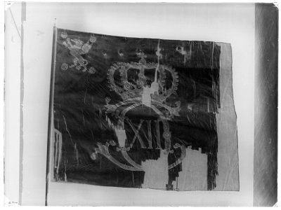 Blodsfana - Livrustkammaren - 17149-negative