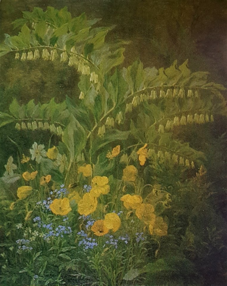 Blomsterstilleben x Anthonore Christensen