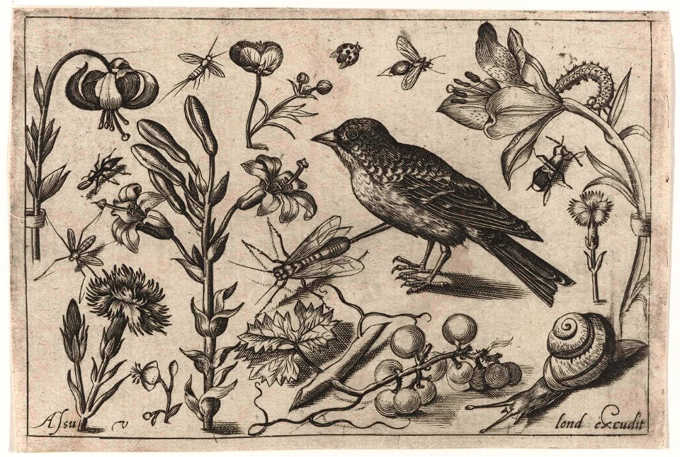 Bloemen, een slak en een vogel