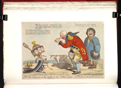 Bodleian Libraries, The emperor of the Gulls, in his stolen gear- The frog and the ox