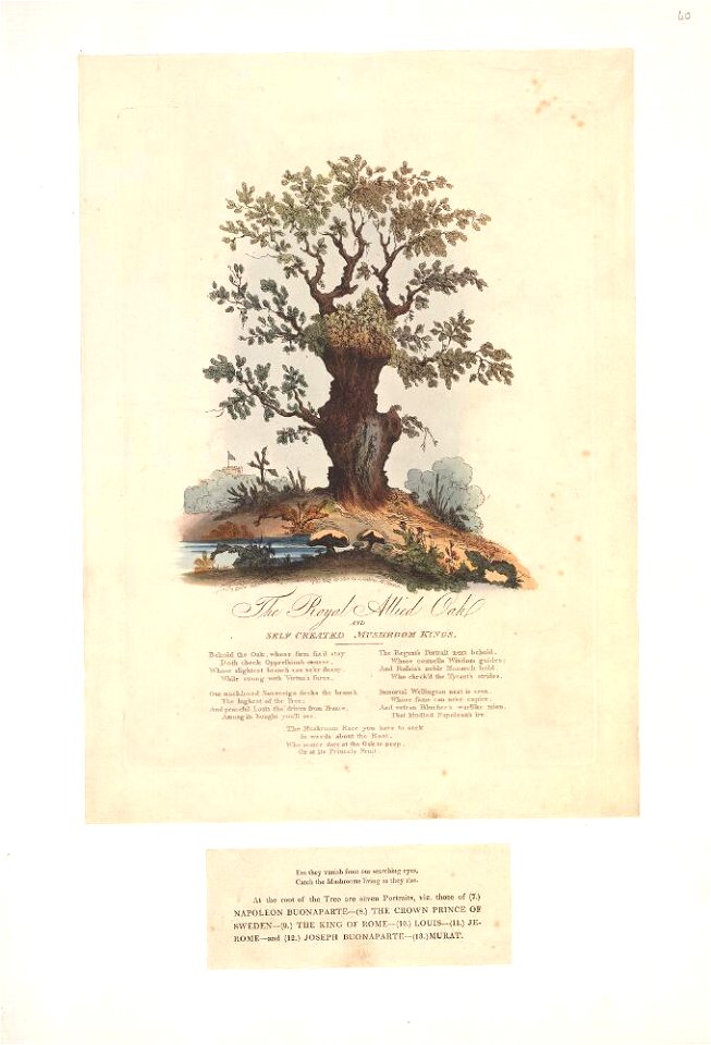 Bodleian Libraries, The royal allied oak and self created mushroom kings