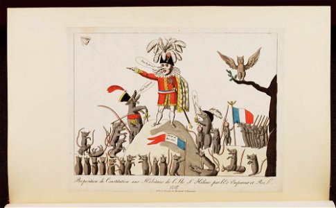 Bodleian Libraries, Proposition de constitution aux habitans de l'Ile St Hélène par l'Ex Empereur et Roi- Napoleon Bonaparte premier consul