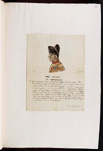 Bodleian Libraries, Vero ritratto del conquistatore- Napoleon Bonaparte premier consul s'est rendu à Notre Dame pour y entendre la Sainte Me