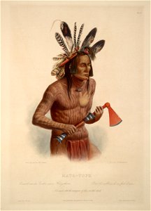 Karl Bodmer Travels in America (47)