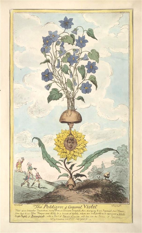 Bodleian Libraries, The peddigree of Corporal Violet