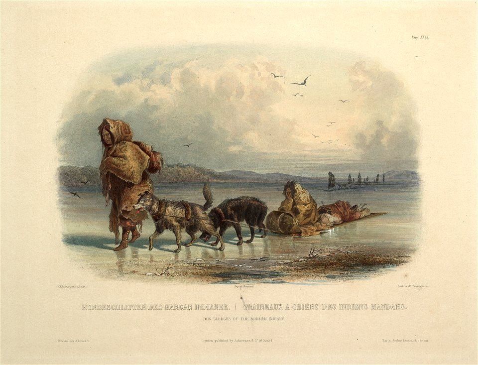 Karl Bodmer Travels in America (29)