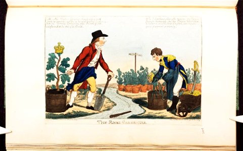 Bodleian Libraries, The rival gardeners. Free illustration for personal and commercial use.