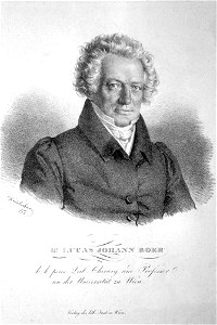 Boer Litho