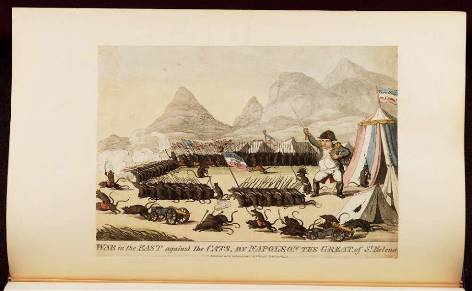Bodleian Libraries, War in the east against the cats, by Napoleon the great of St Helena- Napoleon Bonaparte premier consul s'est rendu à No