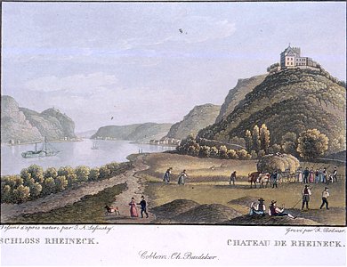 Bodmer Schloss Rheineck