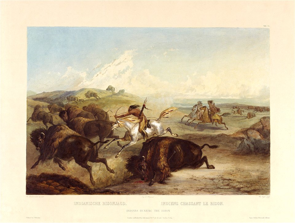 Tableau 31 Indians hunting the bison by Karl Bodmer