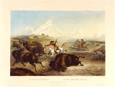 Tableau 31 Indians hunting the bison by Karl Bodmer