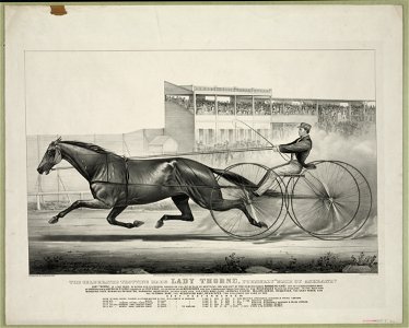Celebrated trotting mare Lady Thorne, formerly Maid of Ashland LCCN90715609
