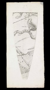 Celestial globe gores RMG L8066-013