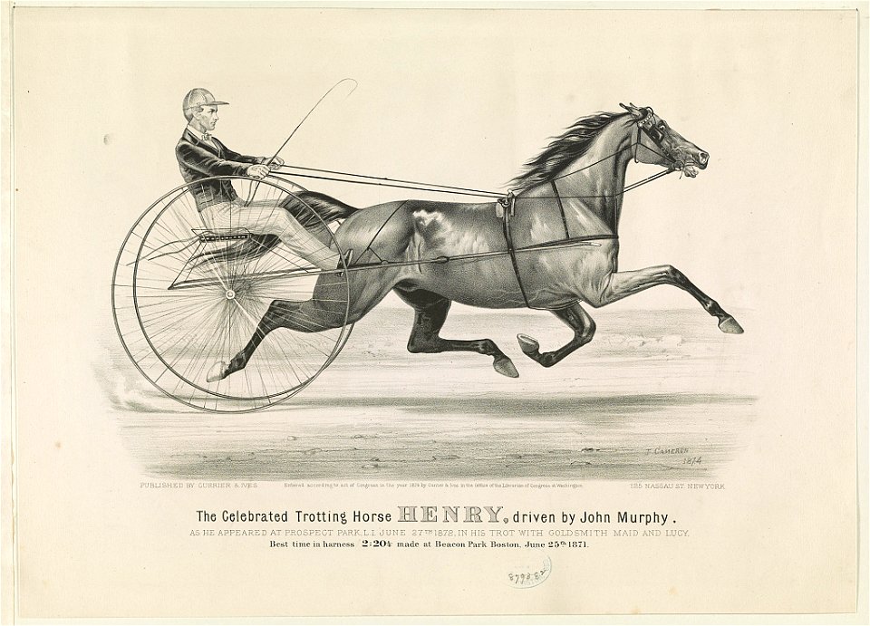 Celebrated trotting horse Henry, driven by John Murphy- As he appeared at Prospect Park, L.I. June 27th 1872, in his trot with Goldsmith Maid and Lucy LCCN90714380