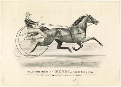 Celebrated trotting horse Henry, driven by John Murphy- As he appeared at Prospect Park, L.I. June 27th 1872, in his trot with Goldsmith Maid and Lucy LCCN90714380