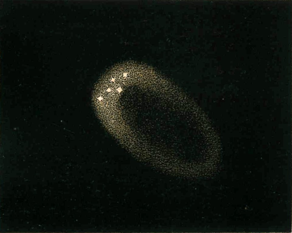 Celoria - Atlante Astronomico, 1890 (page XXII - fig 3)