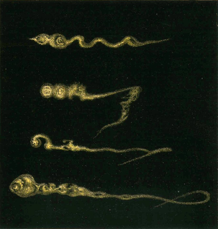 Celoria - Atlante Astronomico, 1890 (page XXIV - fig 5)