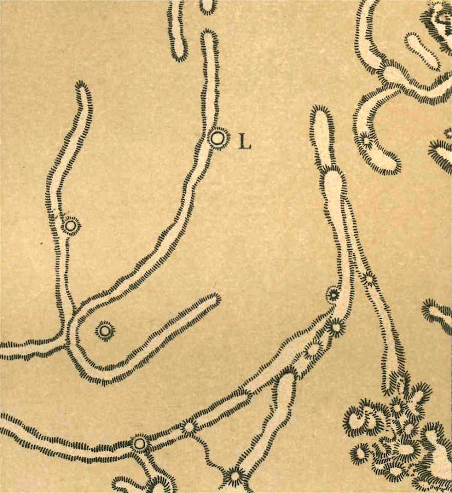 Celoria - Atlante Astronomico, 1890 (page IX - fig 3)