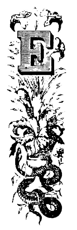 Commedia-Lana-Inferno-XII-XVII