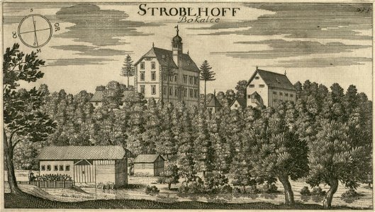Bokalce Strobelhoff
