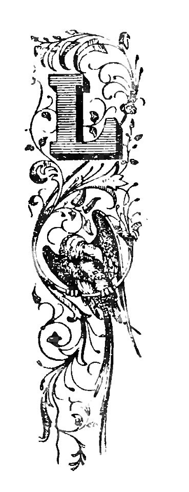 Commedia-Lana-Inferno-II-XVIII-XXIX-XXXIII
