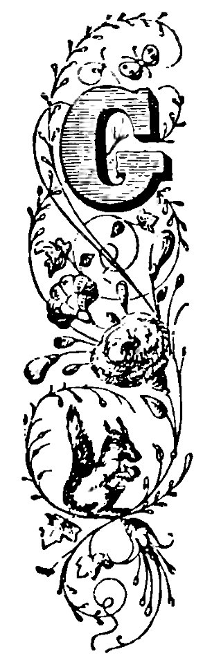 Commedia-Lana-Inferno-XVI-XXVI-XXVII