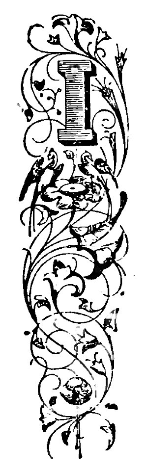 Commedia-Lana-Inferno-VIII-XI-XXII-XXIV