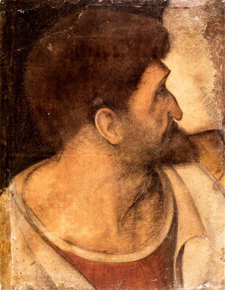 Boltraffio after Leonardo da Vinci, Head of Judas