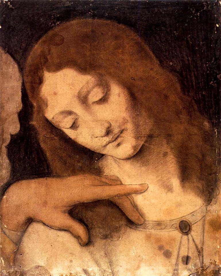 Boltraffio after Leonardo da Vinci, Head of St John the Evangelist
