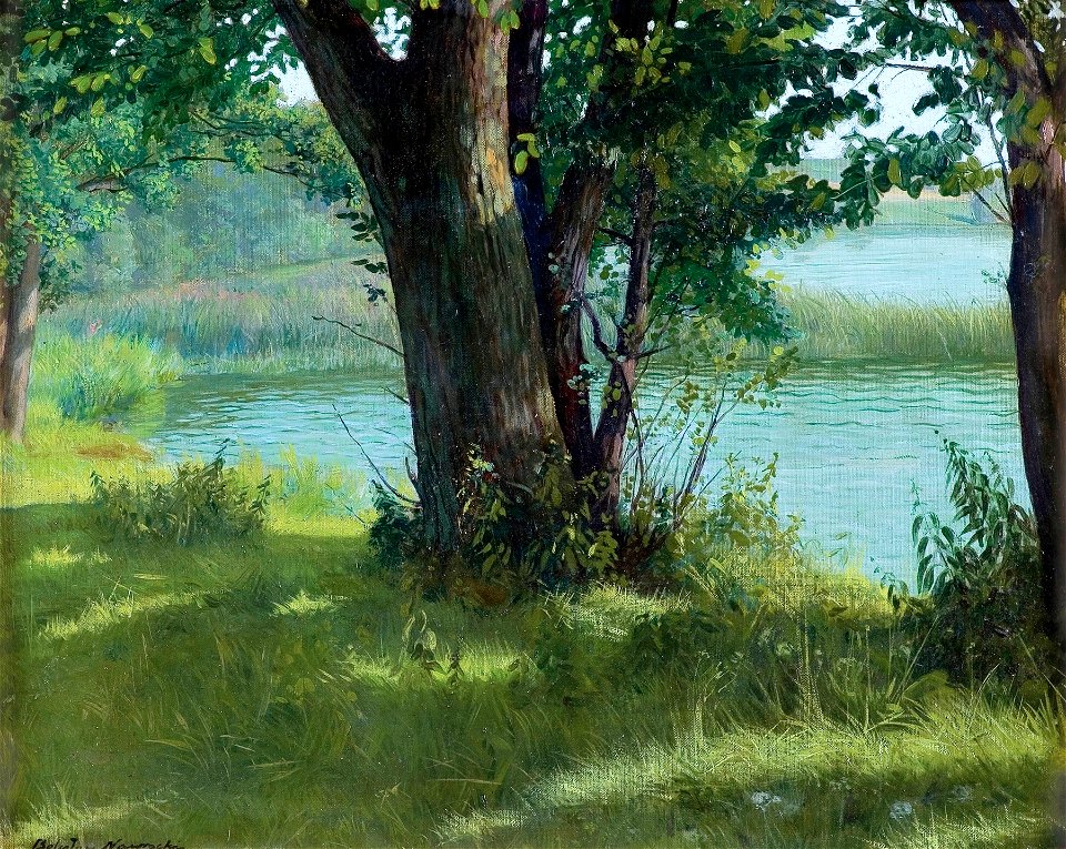 Bolesław Nawrocki - Staw