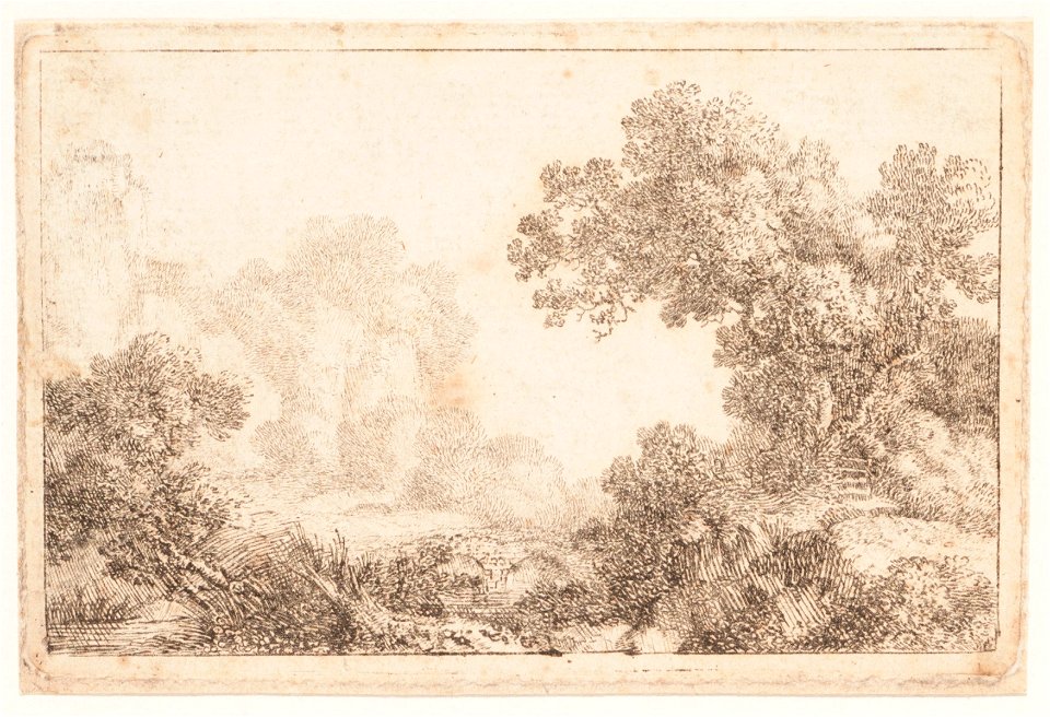 Bomen aan het water, objectnr A 14279