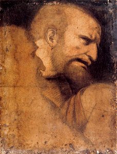 Boltraffio after Leonardo da Vinci, Head of St Peter