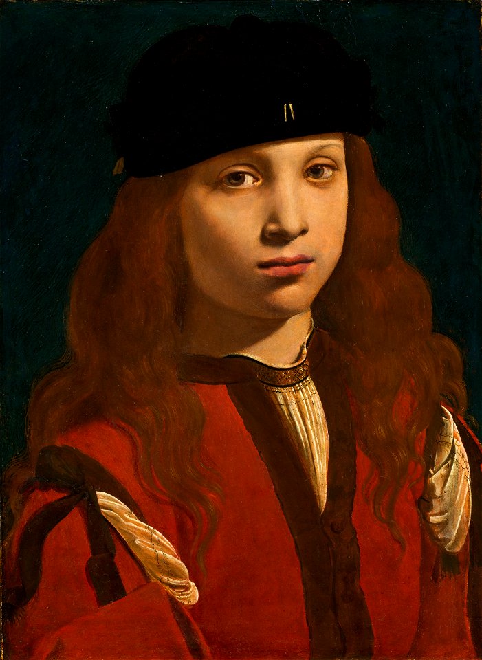 Giovanni Antonio Boltraffio - Ritratto di un giovane (1490s)