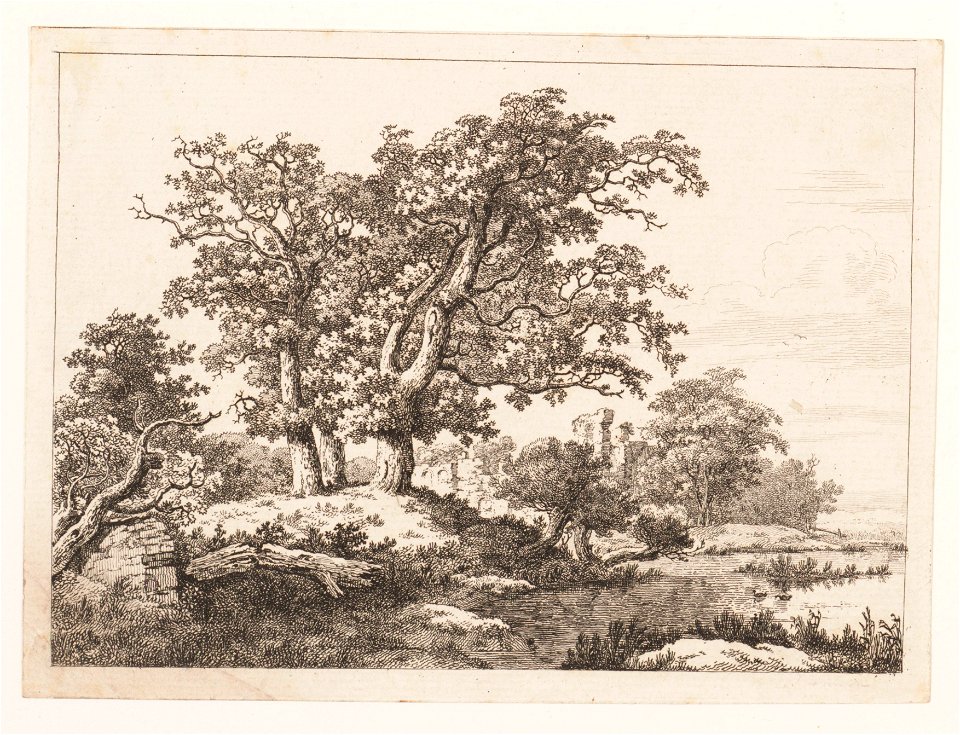 Bomen aan het water, objectnr A 14277