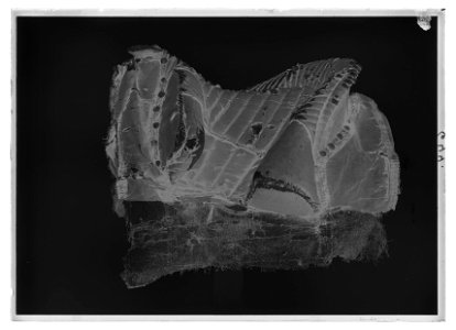 Bomsadel - Livrustkammaren - 26386-negative