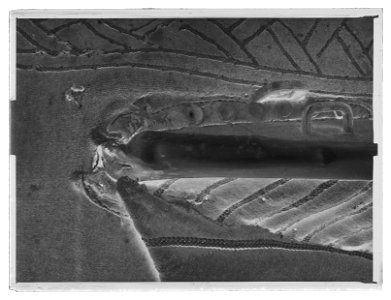 Bomsadel, Polen 1600-talets början - Livrustkammaren - 62657-negative
