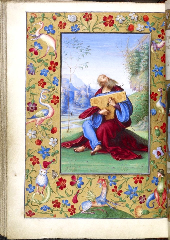 Bonaparte Ghislieri Hours - BL YT29 f104v (David)