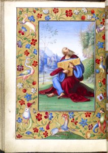Bonaparte Ghislieri Hours - BL YT29 f104v (David)