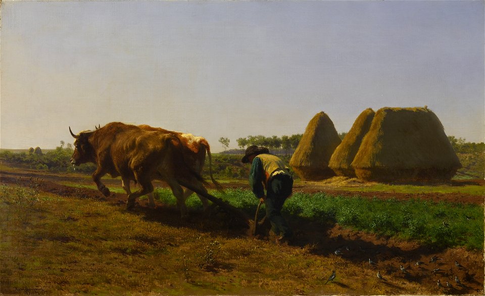 Rosa Bonheur - Ploughing Scene - Walters 37836
